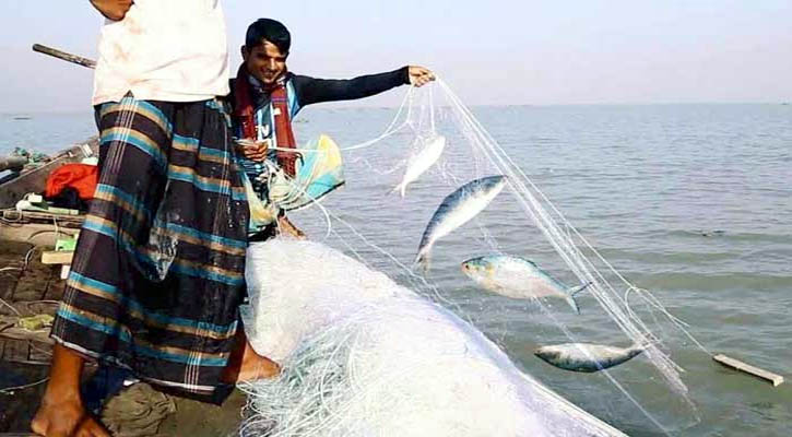 অক্টোবরে ইলিশ ধরা বন্ধ থাকবে ২২ দিন